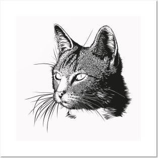 CAT SKETCH Posters and Art